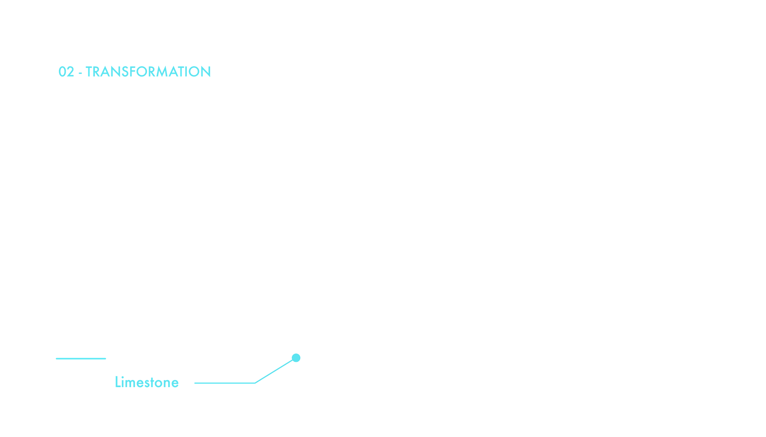 The Sea Became Limestone