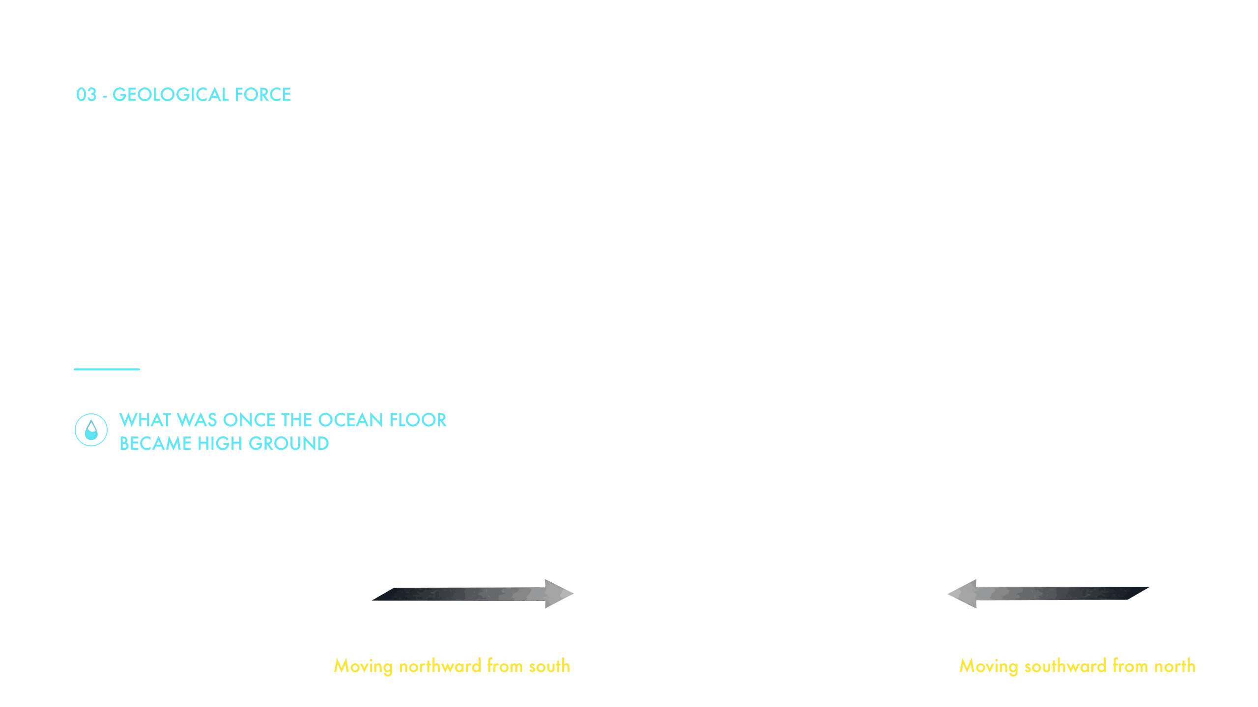 The Seabed Rose