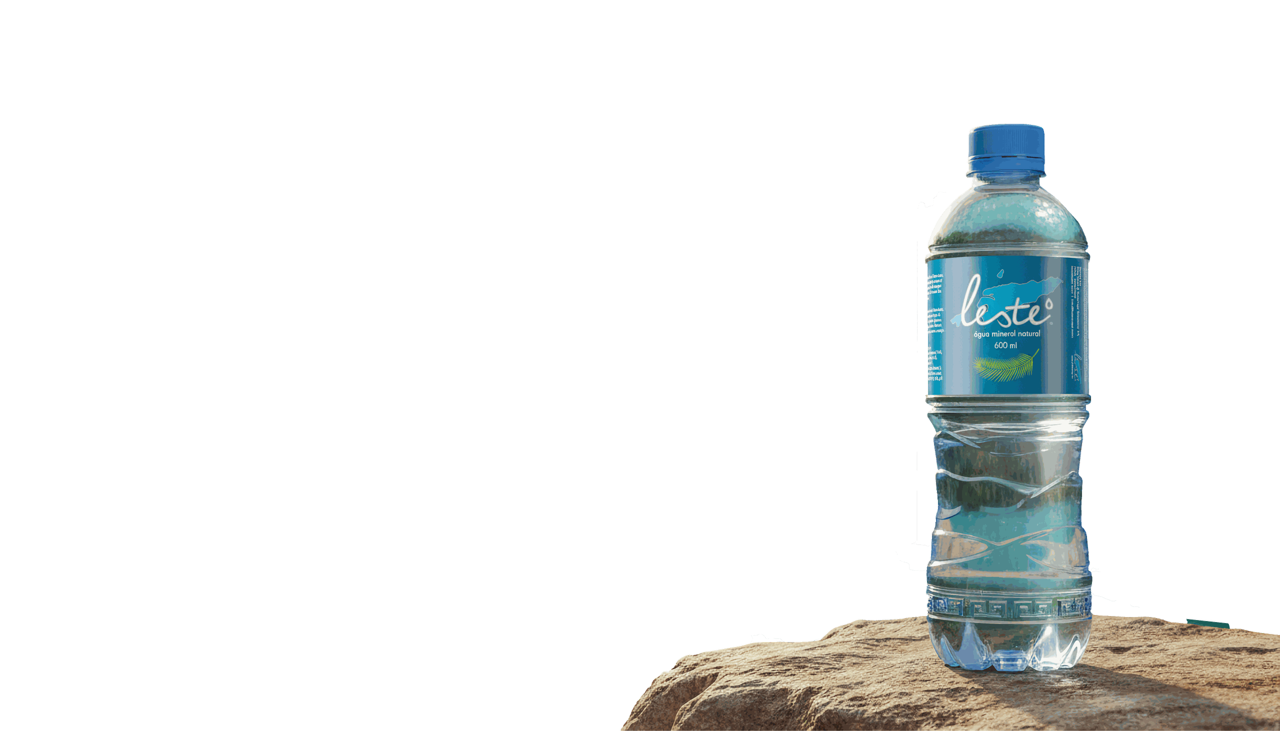 Leste Water bottle