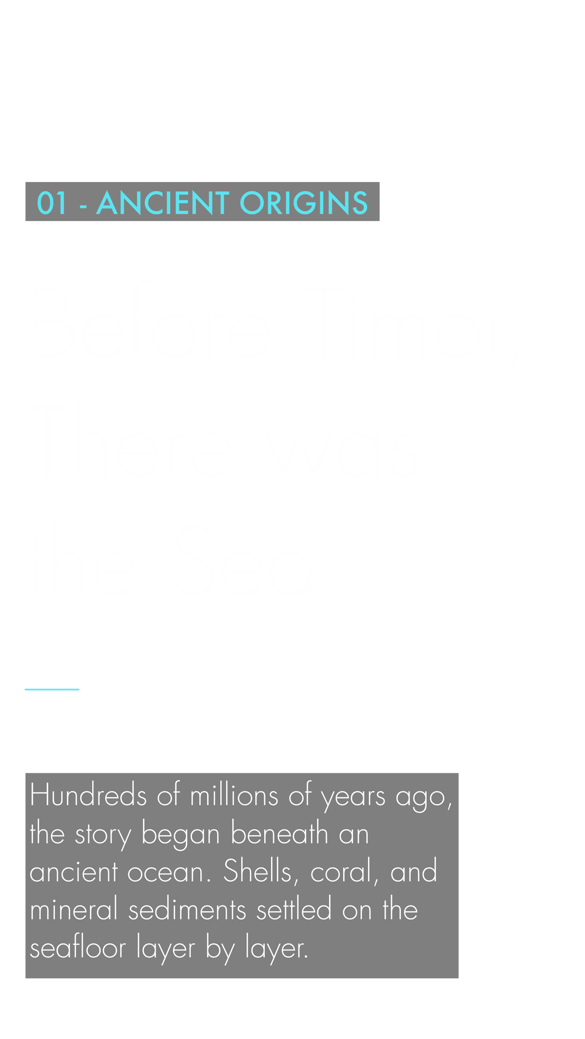 Before Timor, There Was the Sea