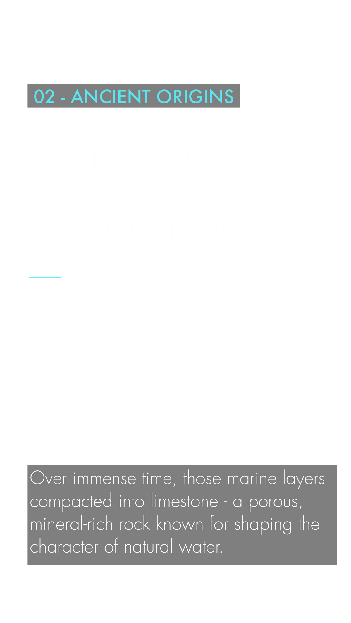 The Sea Became Limestone